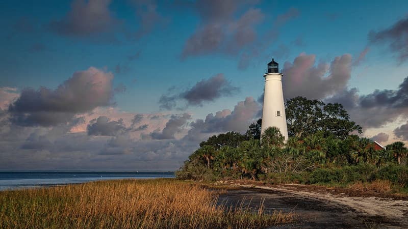 St. Marks Wildlife Refuge is about 35 minutes south of Tallahassee and encompasses more than 83,000 acres. The refuge includes coastal marshes, islands, tidal creeks, and estuaries of seven north Florida rivers, and is home to a diverse community of plant and animal life. Find more at https://www.fws.gov/refuge/st-marks